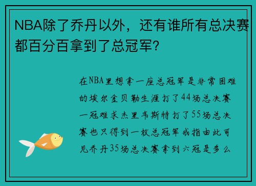 NBA除了乔丹以外，还有谁所有总决赛都百分百拿到了总冠军？
